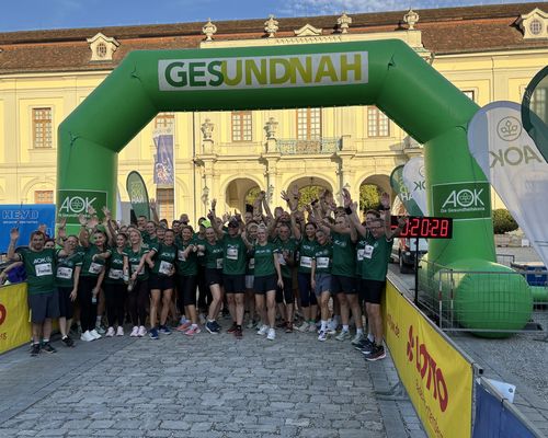 Sonne, Schloss und 1.293 Laufbegeisterte: Firmenlauf-Finale in Ludwigsburg begeistert